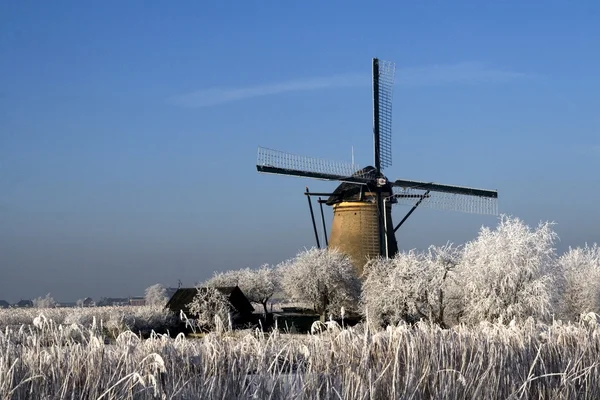 Holandské větrné mlýny — Stock fotografie