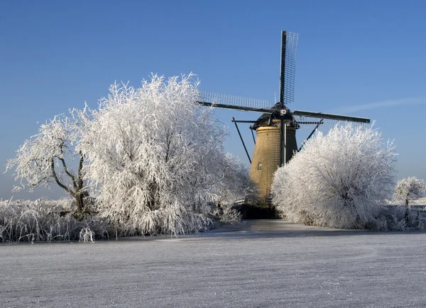 Holländska väderkvarnar — Stockfoto