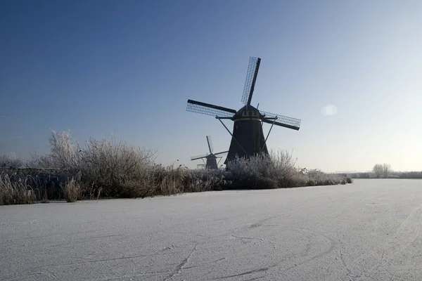 Нидерландские мельницы — стоковое фото