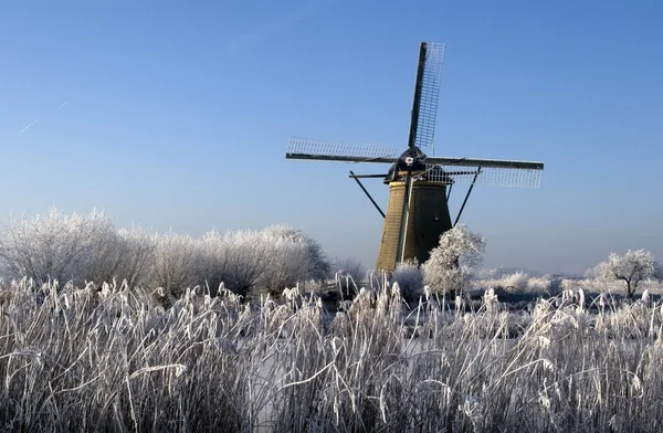 Dutch windmills — Stock Photo, Image
