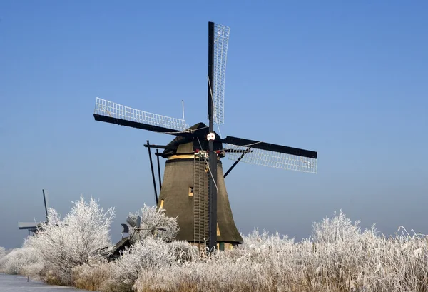 Molinos de viento holandeses —  Fotos de Stock