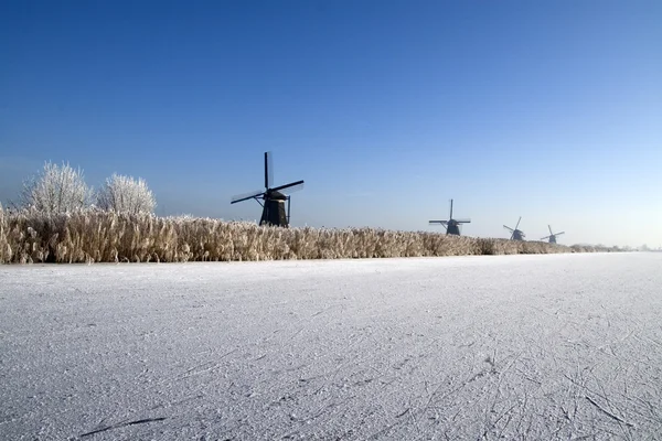 Molinos de viento holandeses — Foto de Stock