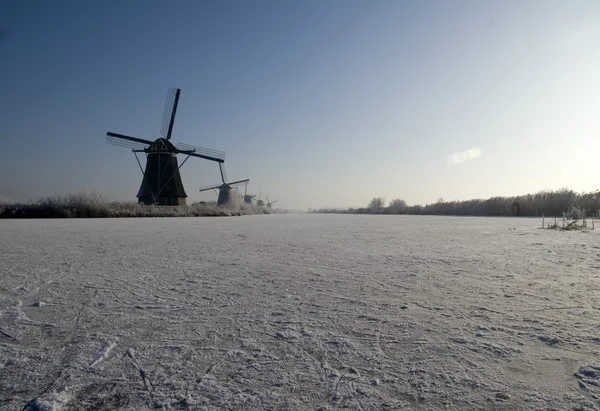Nederlandse windmolens — Stockfoto