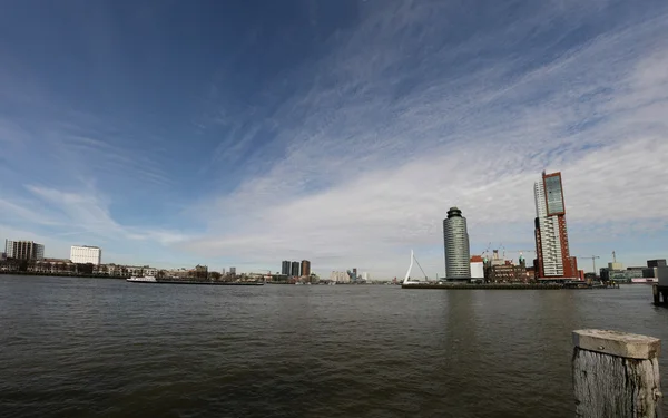 Rotterdam with the Maas — Stock Photo, Image