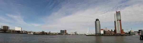 Een panoramafoto van rotterdam — Stockfoto