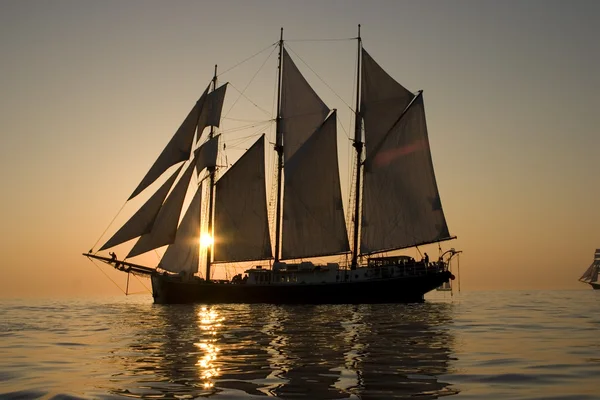Sun in the sails — Stock Photo, Image
