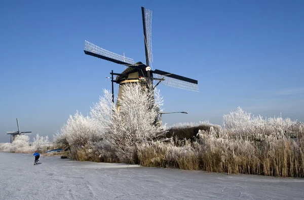 Kinderdijk n Pays-Bas — Photo