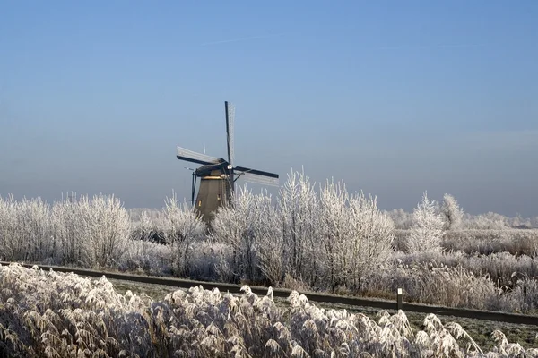 Dutch mill — Stock Photo, Image