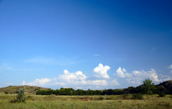 Летний пейзаж с голубым небом — стоковое фото