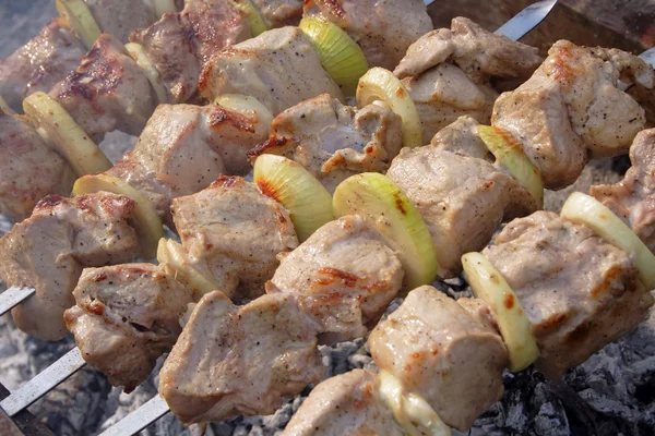 Meat shashlyk barbecue clouse-up — Stock Photo, Image