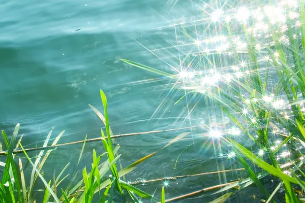 La lumière du soleil scintille sur l'eau calme — Photo