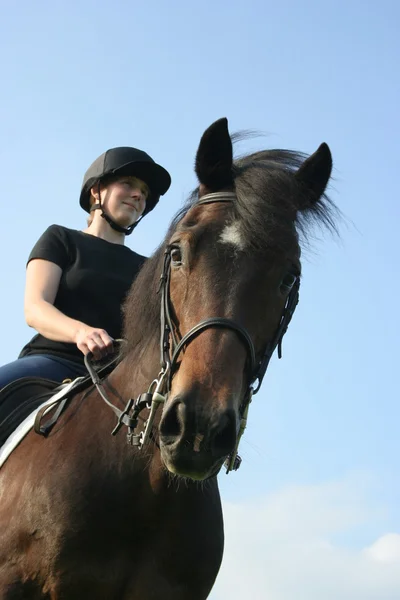 Paard en ruiter — Stockfoto