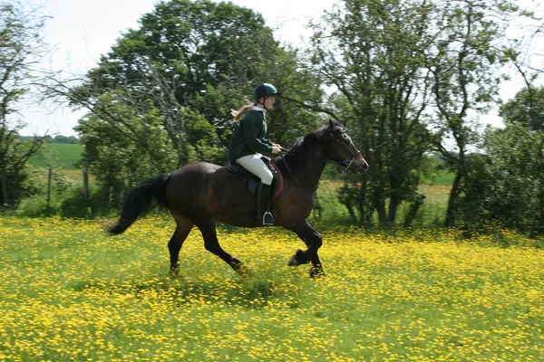 Meisje paardrijden in boterbloemen — Stockfoto