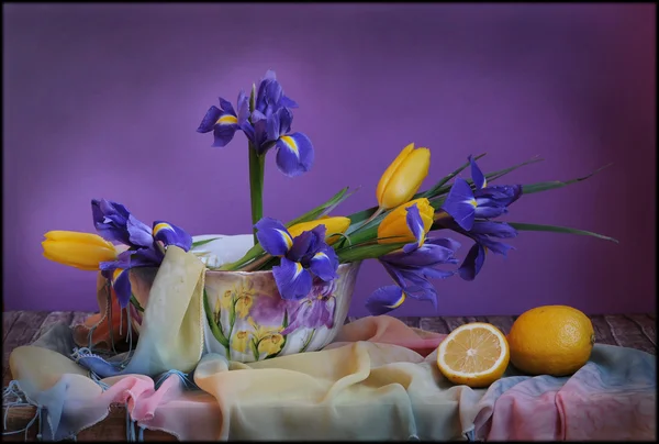 Bodegón con iris azules Fotos De Stock