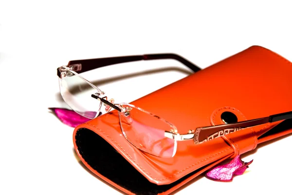 Eyeglasses and eyeglass case — Stock Photo, Image