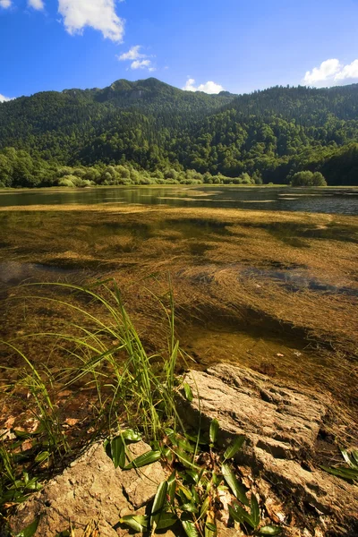 stock image Montenegro Lake