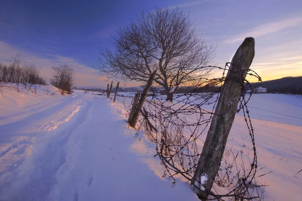 Hora de Inverno — Fotografia de Stock