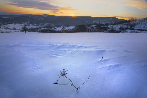 서바이벌-겨울 시간 — 스톡 사진