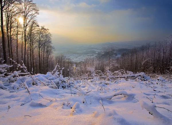 Paseo de invierno —  Fotos de Stock