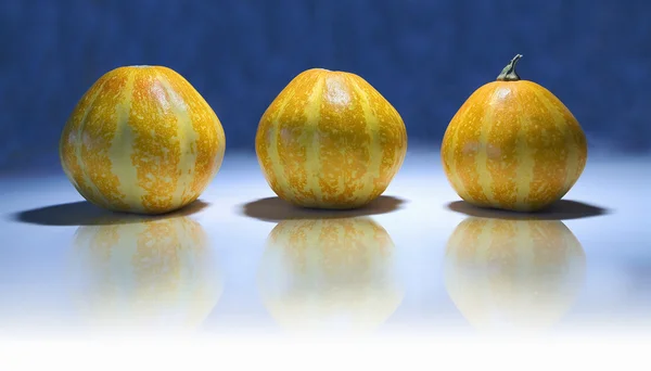 Stock image Three yellow pumpkins