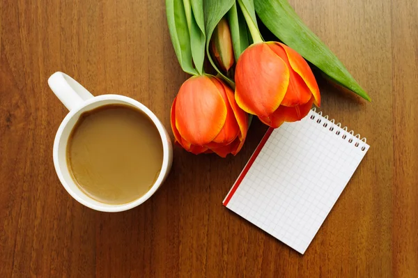 Složení s tulipány — Stock fotografie