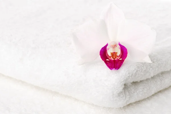 Orchidea sull'asciugamano — Foto Stock