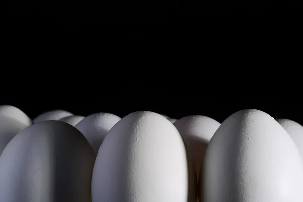 Huevos de pollo blanco —  Fotos de Stock
