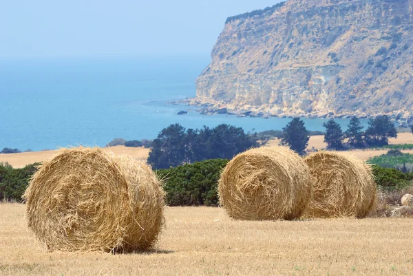 stock image Straw bales