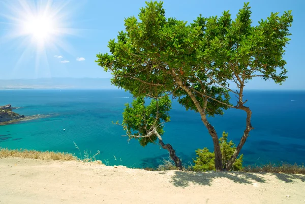 Cypr krajobraz — Zdjęcie stockowe