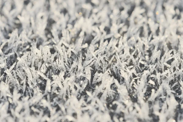 stock image White hoarfrost crystals