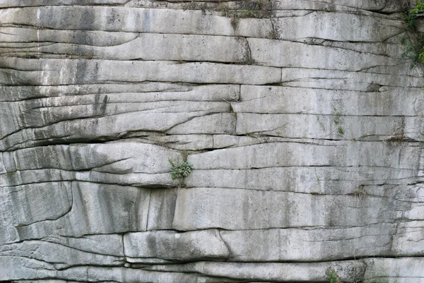 Stock image Texture of stone