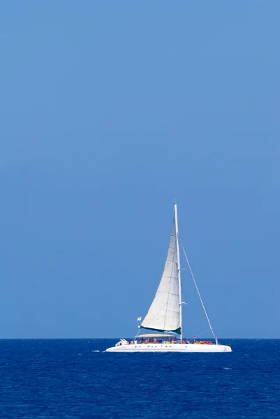 Berlayar catamaran putih — Stok Foto