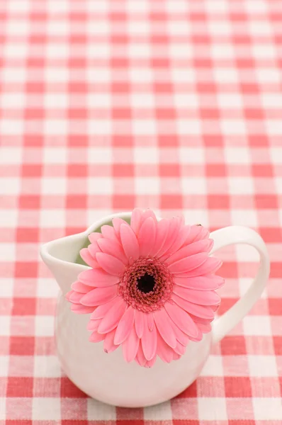 Kukka lautasella — kuvapankkivalokuva