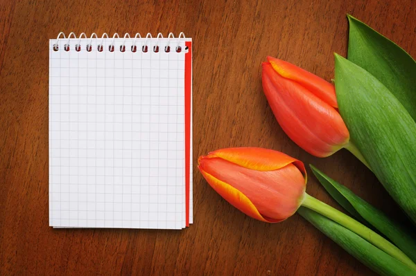 Bloco de notas com tulipas — Fotografia de Stock