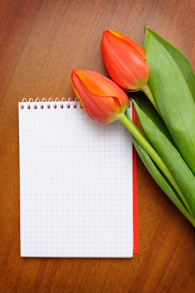 Notebook with tulips — Stock Photo, Image