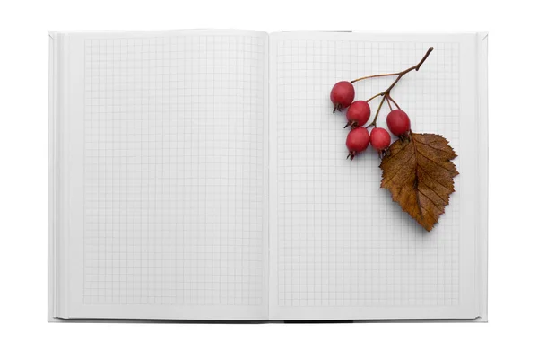 Notebook with berries — Stock Photo, Image