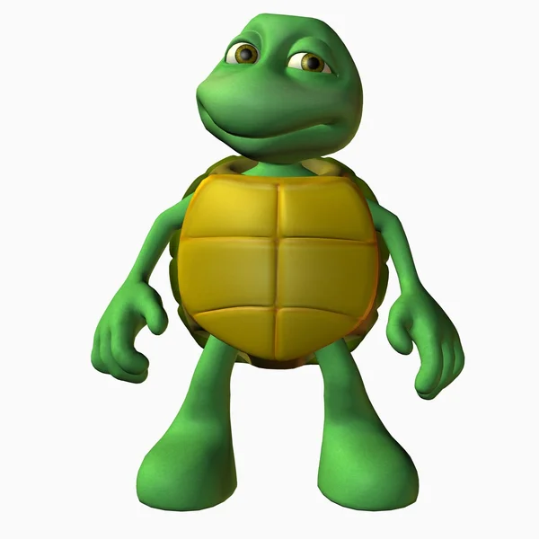 Kaplumbağa çocuk — Stok fotoğraf