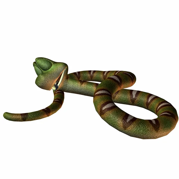 Wąż toonimal — Zdjęcie stockowe