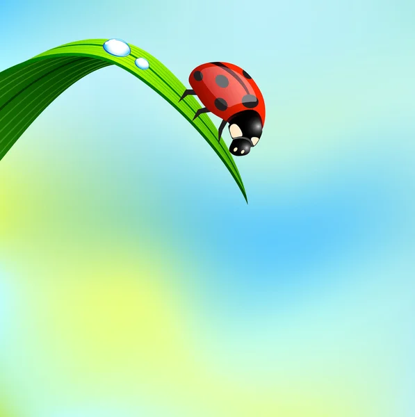 Ladybird on grass. — Stock Vector