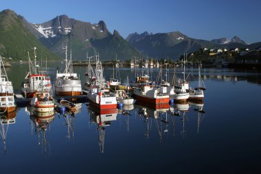 Harbour tekneler