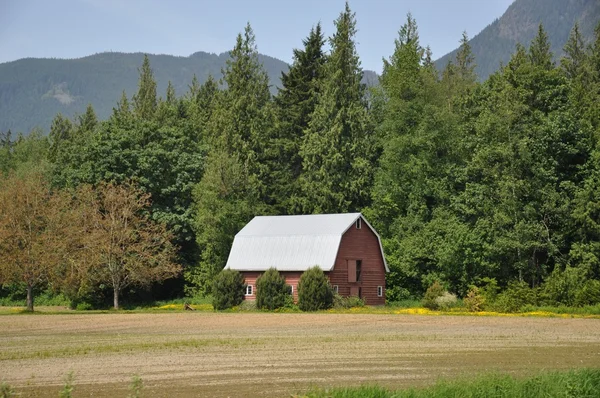 stock image Red Barn Meadow