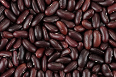 Haricots rouges 