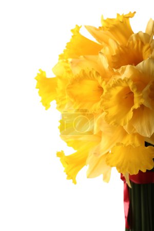 Bouquet de narcisses 