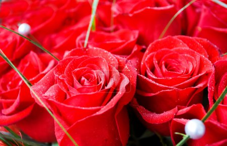 Rose !