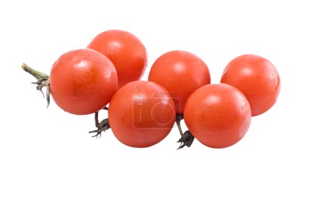 Tomates cerises 
