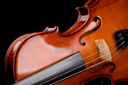 Violon