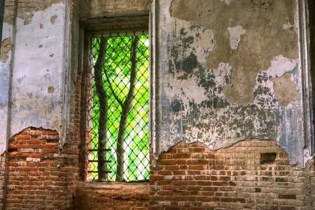 Vieille maison abandonnée 