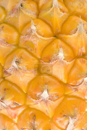Contexte de l'ananas 