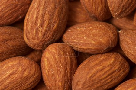 fond d'amandes 