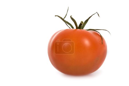 Tomate rouge 